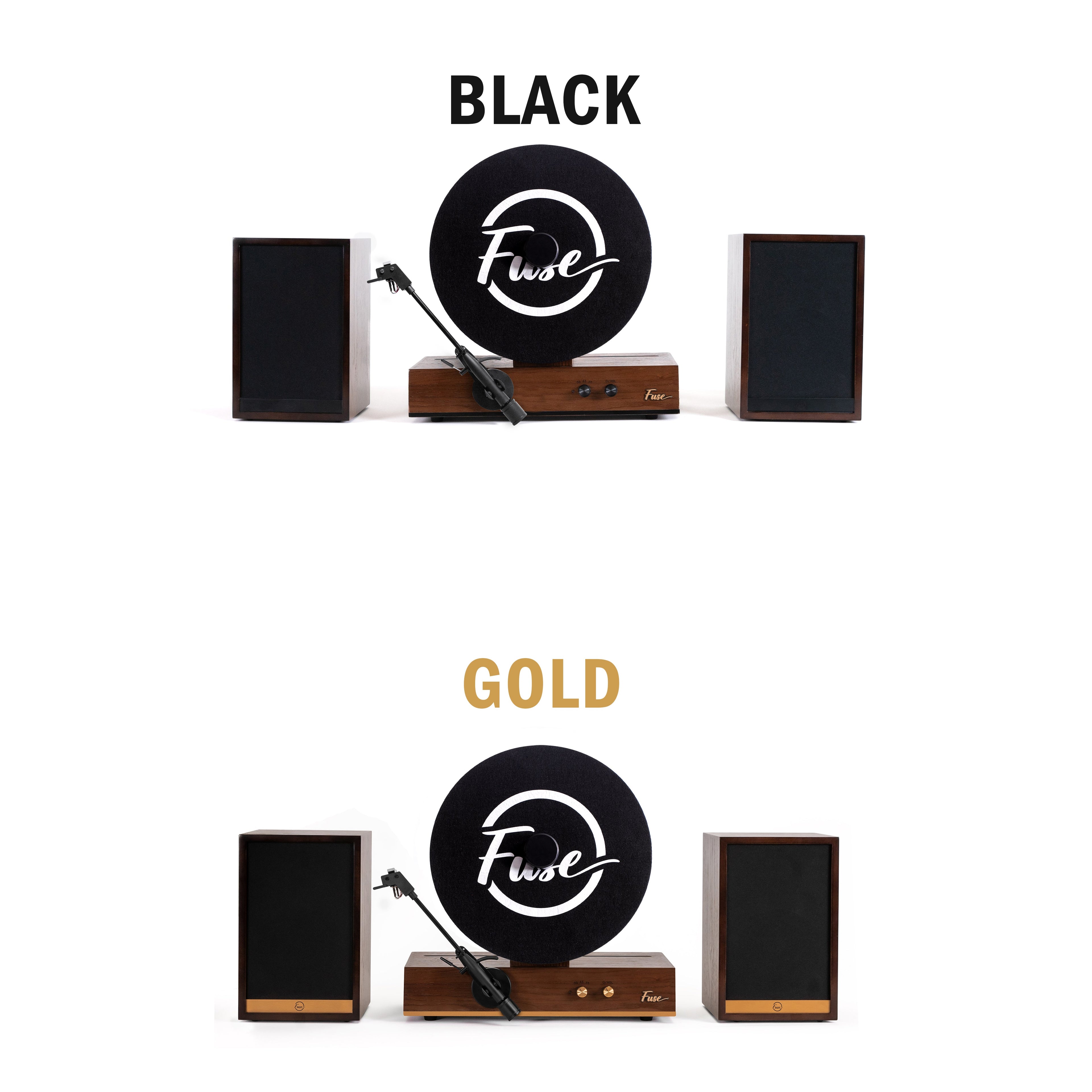 FL450 Audio GLD Vertical Vinyl Record Player